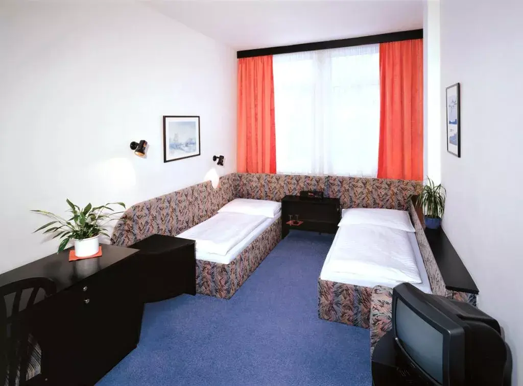 Photo 4 of Hotel U TŘÍ LVŮ
